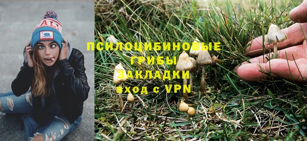 трава Абаза