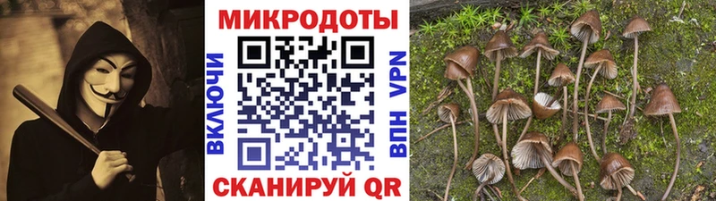 Галлюциногенные грибы прущие грибы  Инсар 